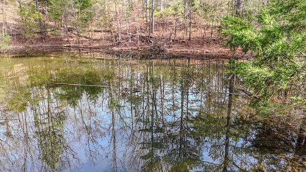 46 Acres of Land for Sale in Portland, Tennessee