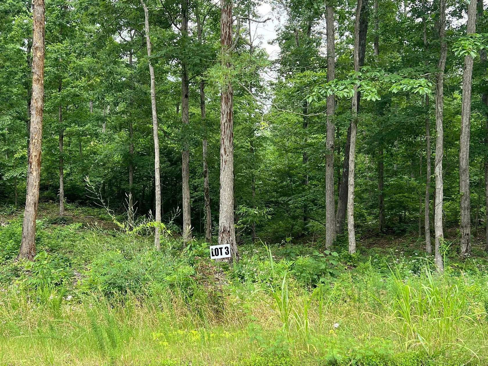 8.82 Acres of Residential Land for Sale in Primm Springs, Tennessee