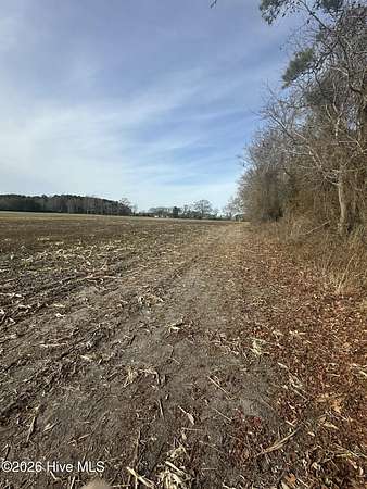 13 Acres of Recreational Land for Sale in Jarvisburg, North Carolina