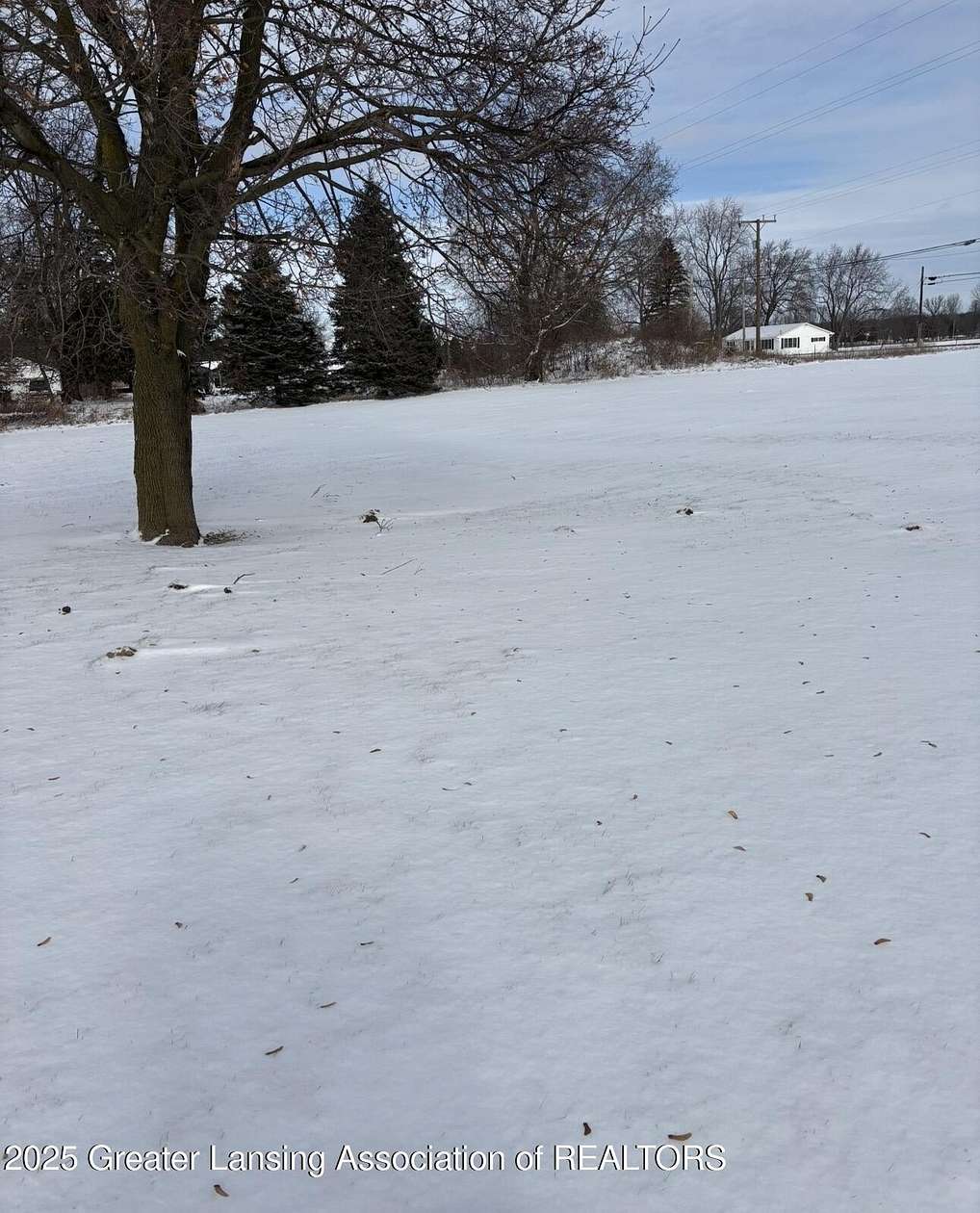 2 Acres of Land for Sale in Morrice, Michigan