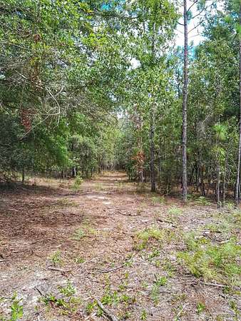 15 Acres of Recreational Land for Sale in Harold, Florida