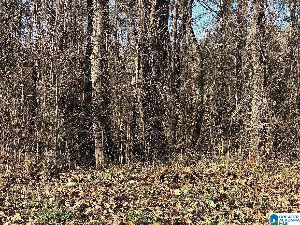 0.55 Acres of Residential Land for Sale in Wilsonville, Alabama
