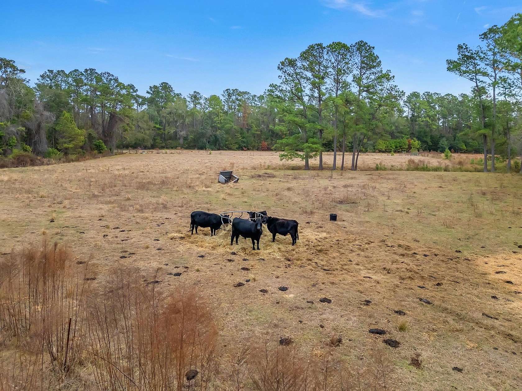 19.2 Acres of Land with Home for Sale in Lamont, Florida