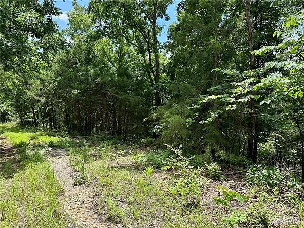 59.5 Acres of Recreational Land for Sale in Rolla, Missouri