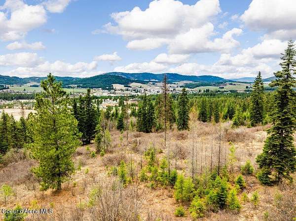 20 Acres of Recreational Land for Sale in Plummer, Idaho