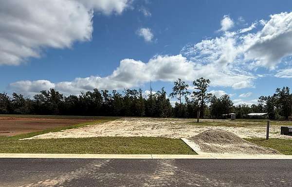 0.3 Acres of Land for Sale in Wewahitchka, Florida