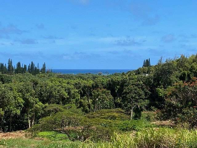 16.9 Acres of Land for Sale in Kapaa, Hawaii