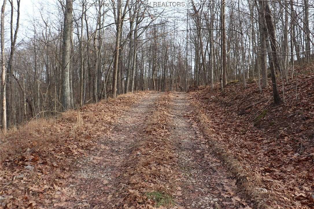 48.4 Acres of Recreational Land for Sale in Alum Creek, West Virginia