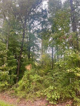 1.29 Acres of Residential Land for Sale in Abbeville, Alabama