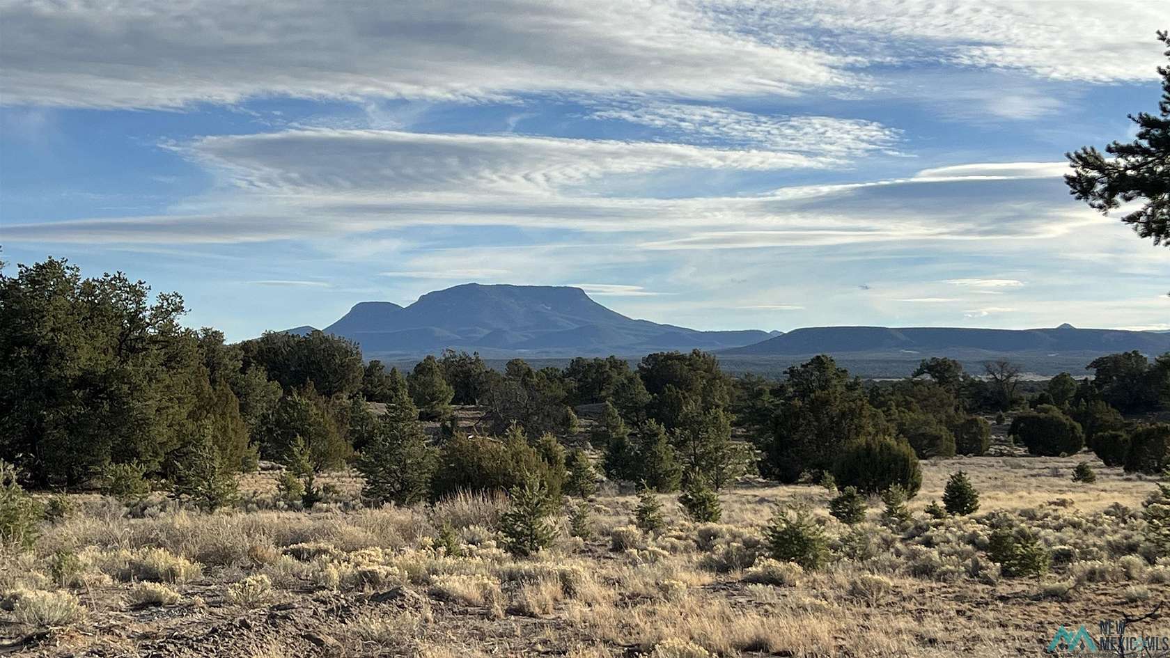 26.4 Acres of Recreational Land for Sale in Pie Town, New Mexico