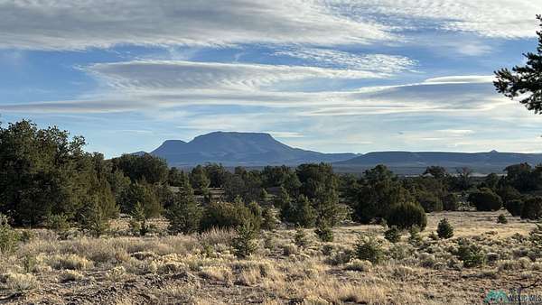 26.4 Acres of Recreational Land for Sale in Pie Town, New Mexico