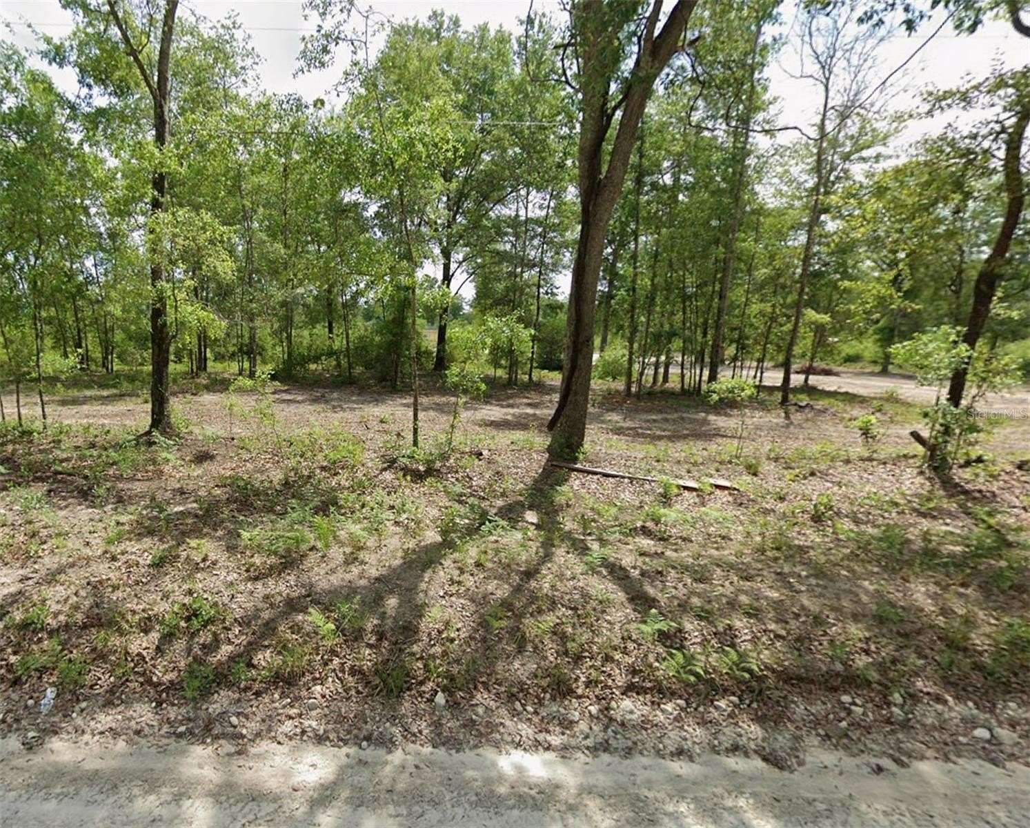 10 Acres of Land for Sale in Lake City, Florida