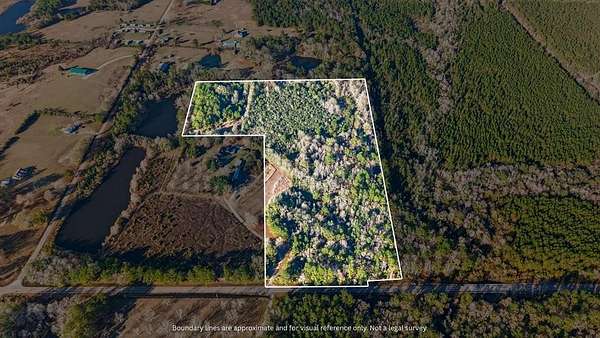 20 Acres of Recreational Land for Sale in Poplarville, Mississippi