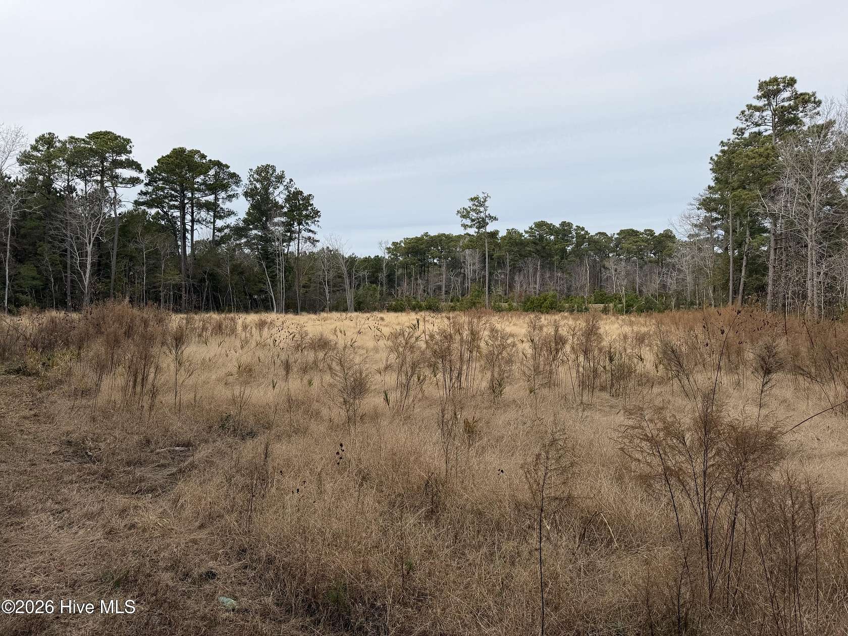 1.62 Acres of Residential Land for Sale in Beaufort, North Carolina