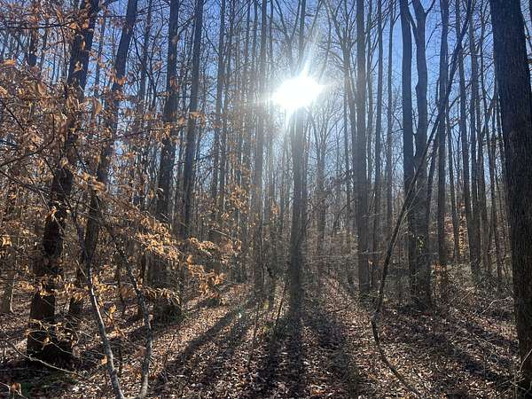 10.5 Acres of Land for Sale in Cedar Grove, Tennessee