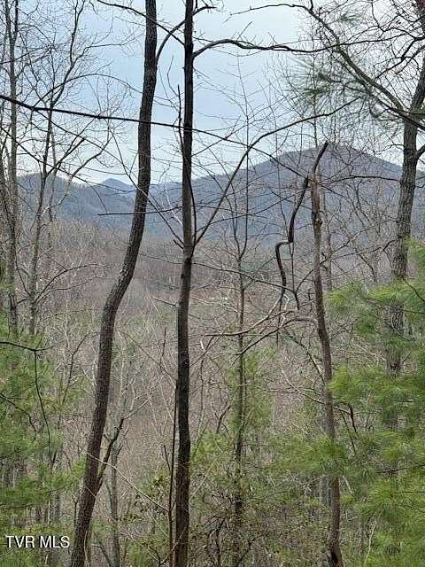 35 Acres of Recreational Land for Sale in Erwin, Tennessee