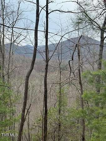 35 Acres of Recreational Land for Sale in Erwin, Tennessee