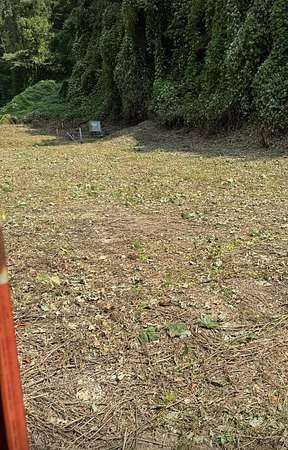 19.9 Acres of Land for Sale in Hazard, Kentucky
