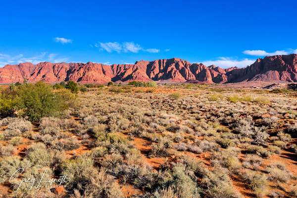 0.74 Acres of Residential Land for Sale in Ivins, Utah