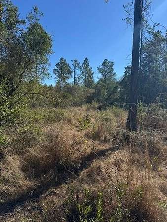 10 Acres of Residential Land for Sale in Satsuma, Alabama