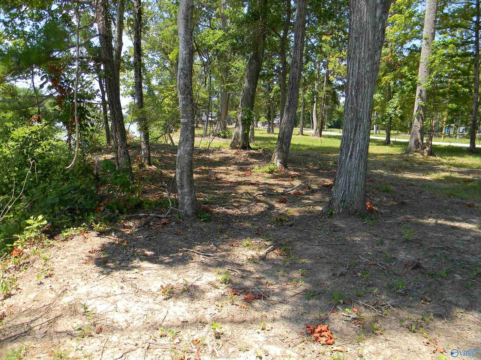 Land for Sale in Cedar Bluff, Alabama