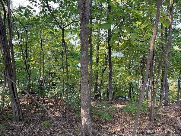 0.77 Acres of Residential Land for Sale in Jasper Township, Missouri
