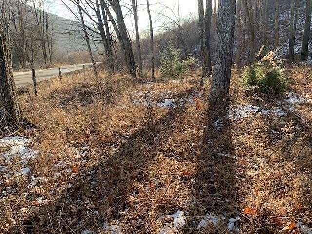 119 Acres of Land for Sale in Monterey, Virginia
