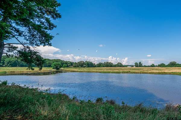 83 Acres of Land for Sale in Jacksonville, Texas