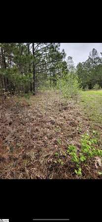 1.49 Acres of Residential Land for Sale in Gray Court, South Carolina