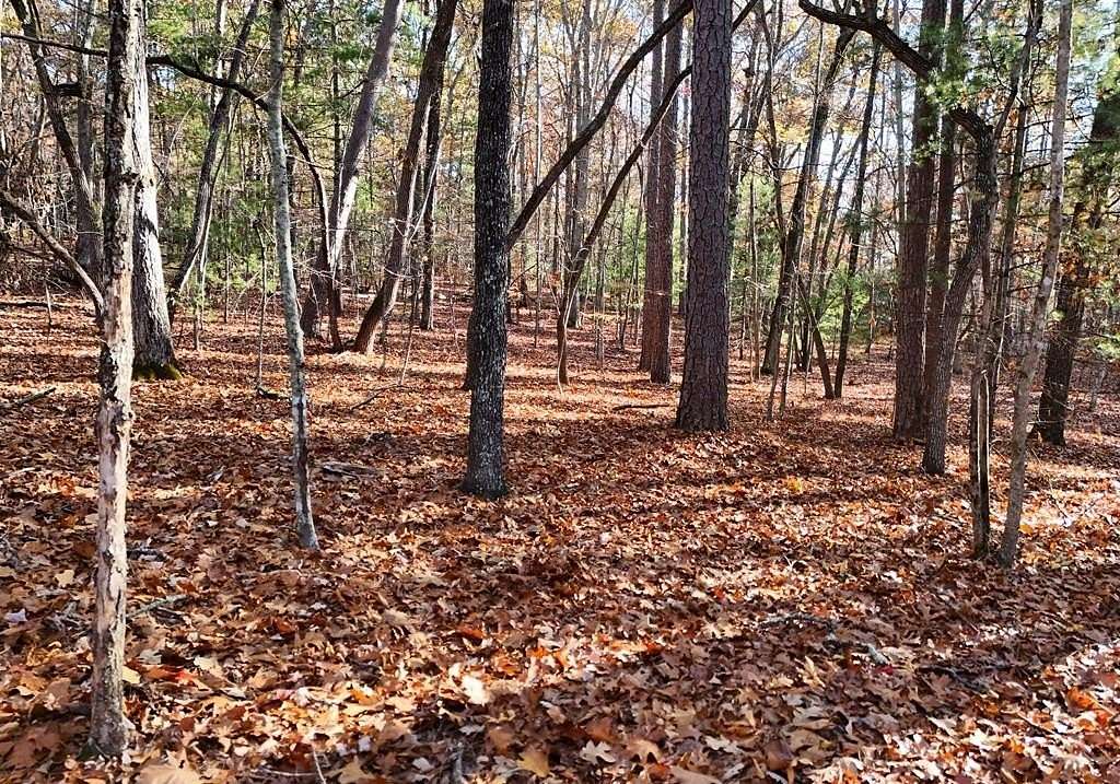 1.52 Acres of Residential Land for Sale in Blairsville, Georgia