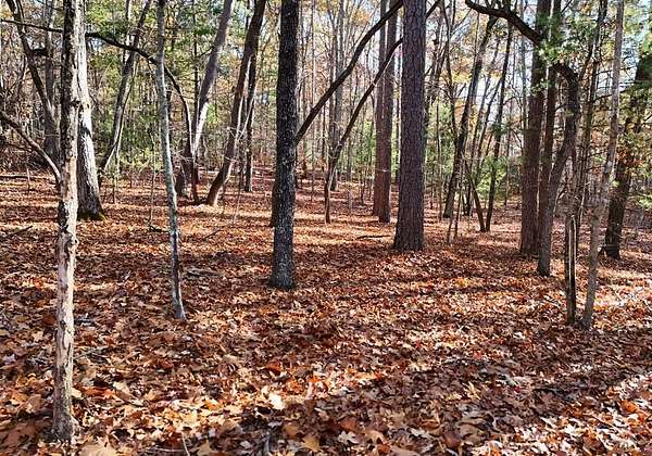 1.52 Acres of Residential Land for Sale in Blairsville, Georgia