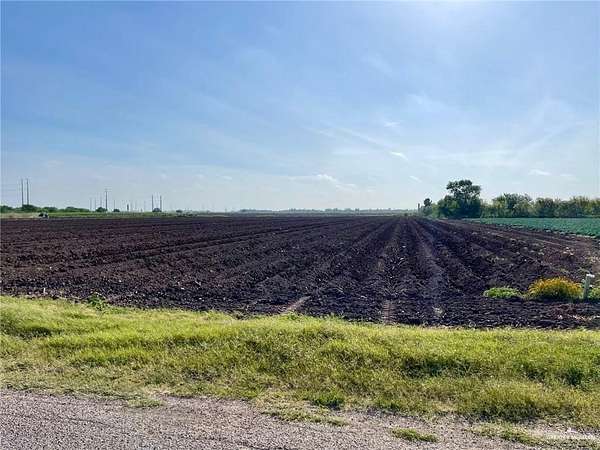 14.6 Acres of Agricultural Land for Sale in Progreso, Texas