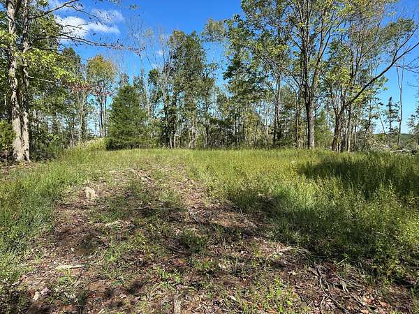 121 Acres of Recreational Land & Farm for Sale in Only, Tennessee