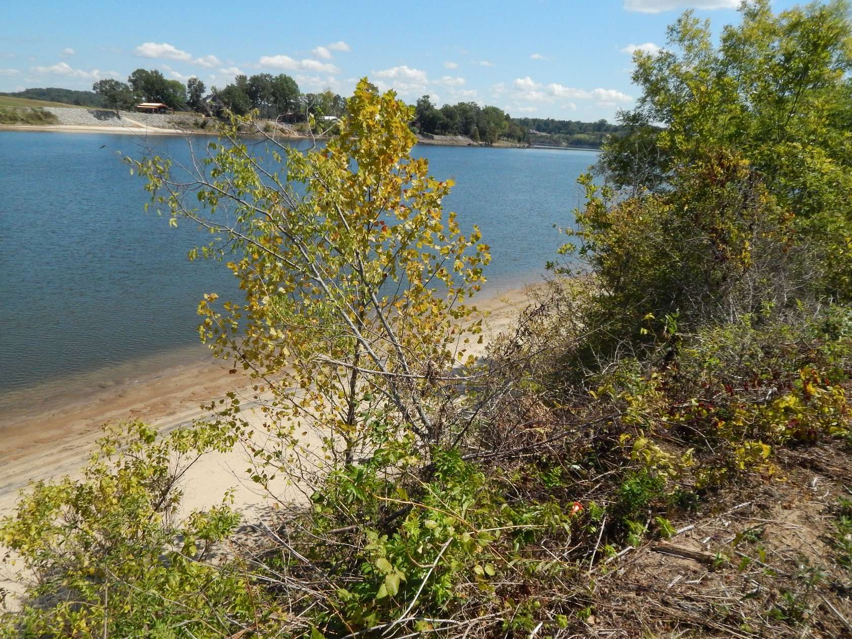 1 Acre of Residential Land for Sale in Savannah, Tennessee