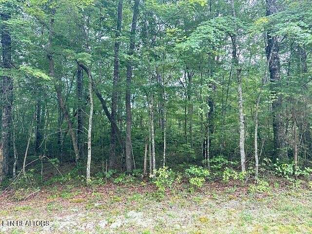 0.94 Acres of Residential Land for Sale in Monterey, Tennessee