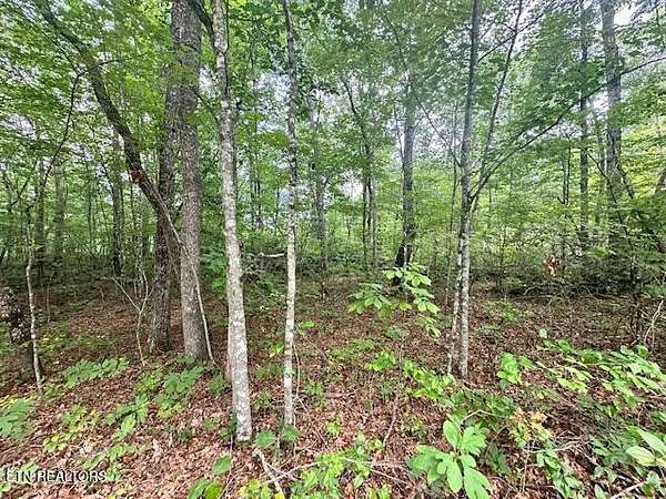 0.6 Acres of Residential Land for Sale in Crossville, Tennessee