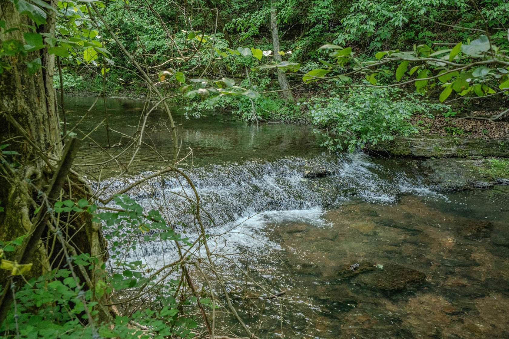 93.8 Acres of Land with Home for Sale in Westpoint, Tennessee