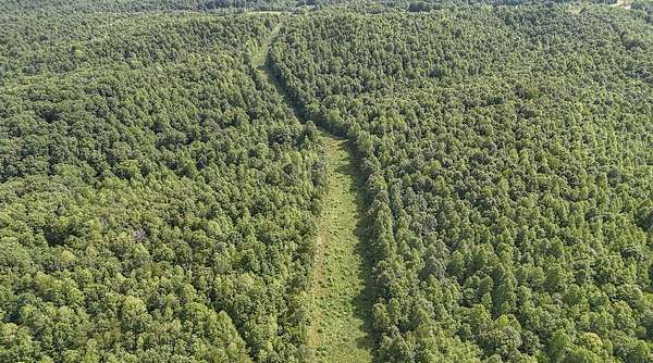 145 Acres of Recreational Land & Farm for Sale in Waynesboro, Tennessee