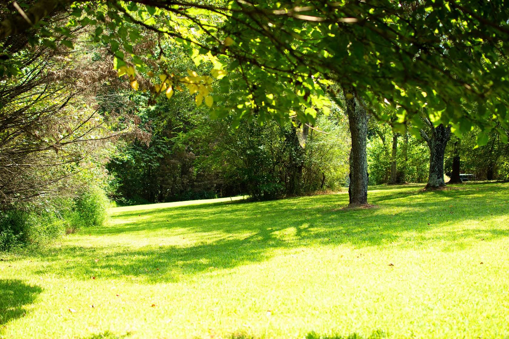 2.5 Acres of Residential Land for Sale in Leoma, Tennessee