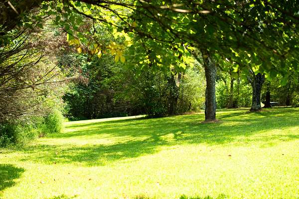 2.5 Acres of Residential Land for Sale in Leoma, Tennessee