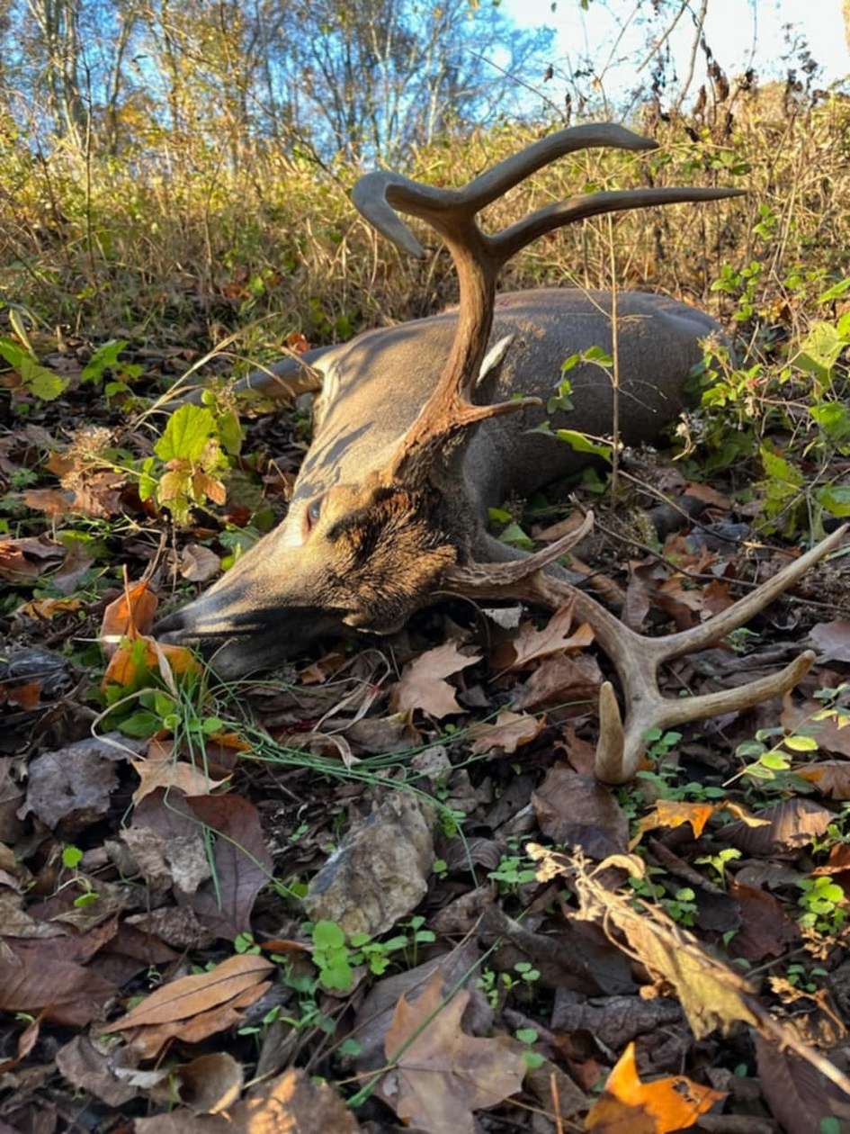 72.1 Acres of Land for Sale in Culleoka, Tennessee