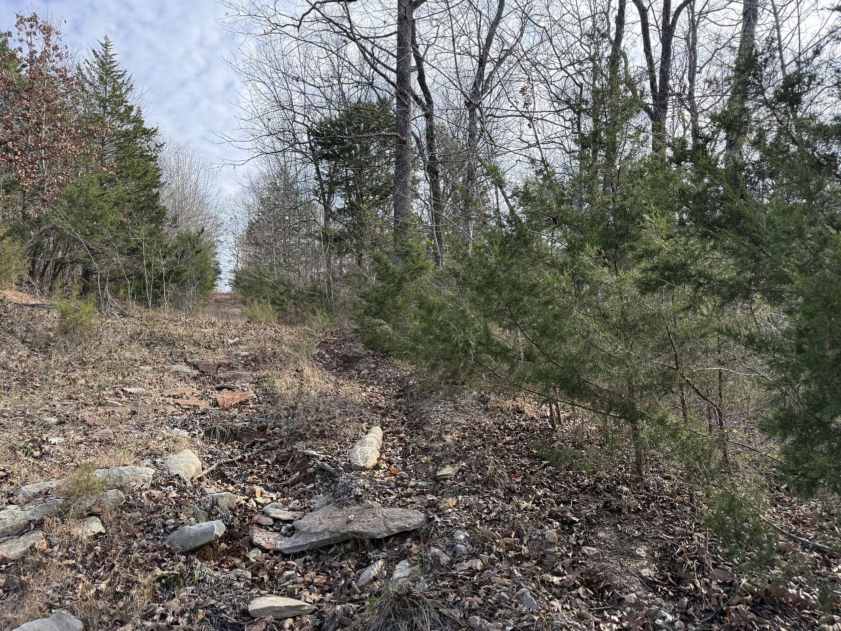 10 Acres of Recreational Land for Sale in Clifton, Tennessee