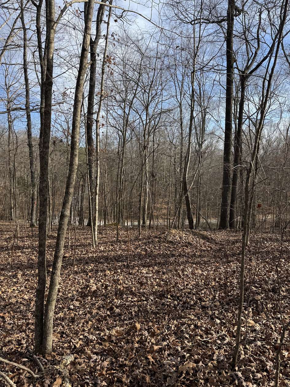0.55 Acres of Residential Land for Sale in Big Sandy, Tennessee