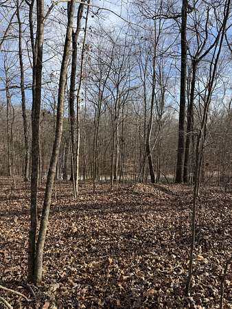 0.55 Acres of Residential Land for Sale in Big Sandy, Tennessee