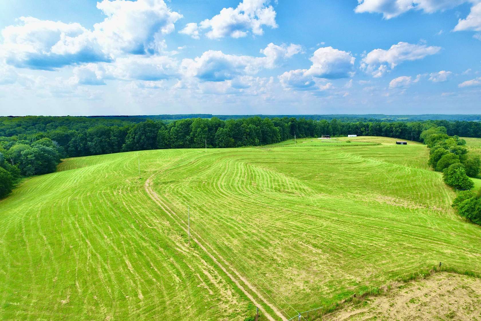 52.4 Acres of Land for Sale in Five Points, Tennessee