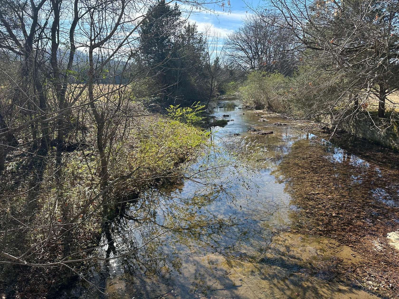 40 Acres of Land for Sale in Fayetteville, Tennessee