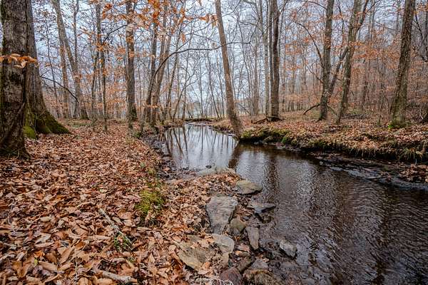16 Acres of Land for Sale in Westpoint, Tennessee