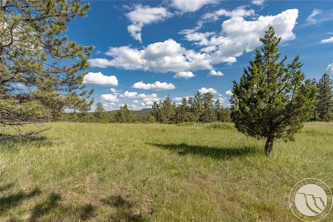 20 Acres of Recreational Land for Sale in Roundup, Montana