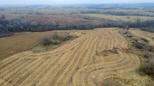 81.3 Acres of Recreational Land & Farm for Sale in Newtown, Missouri