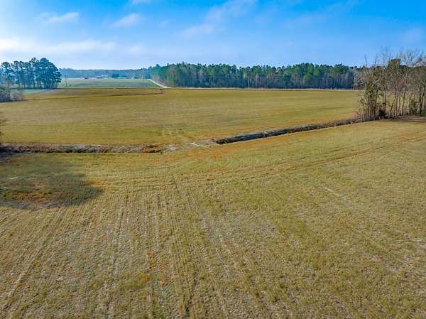 33.6 Acres of Recreational Land & Farm for Sale in Green Sea, South Carolina